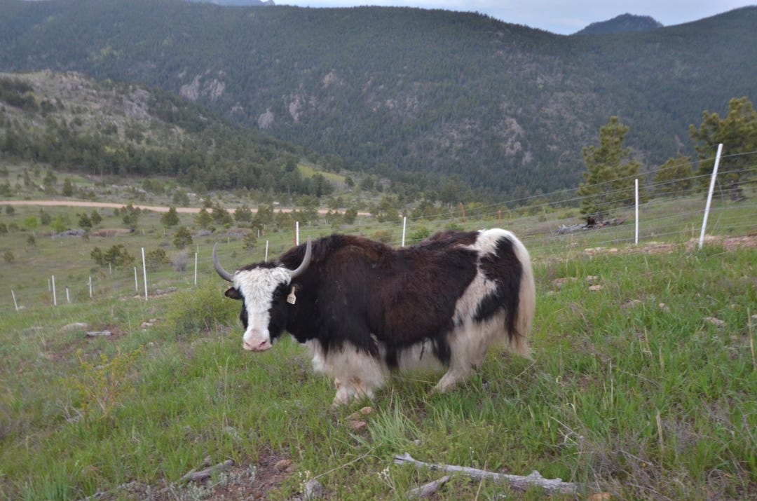 Time Slot Diki by luckylighting Medium