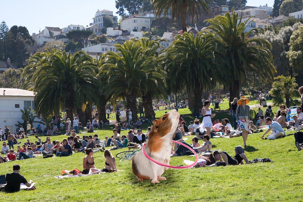 Image of: By Jessica Saia