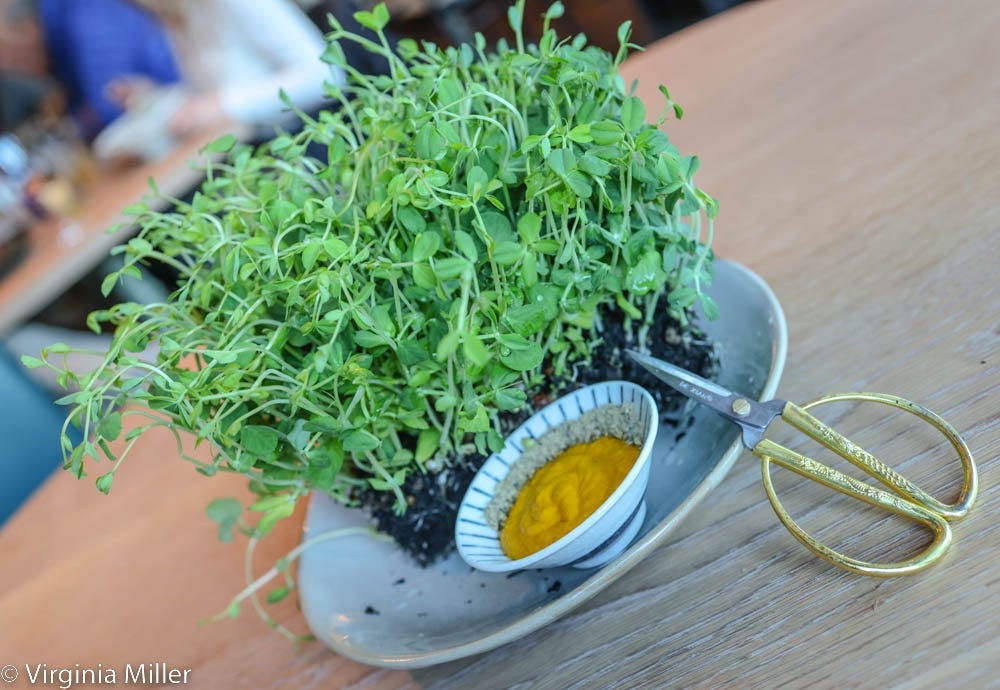 Image of: In sleepy Mill Valley, a surprisingly quality land-to-sea newcomer: Coho