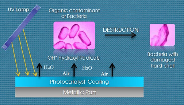 Self-Cleaning Materials: Lotus Leaf-Inspired Nanotechnology