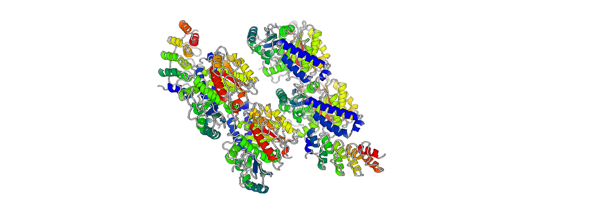 The Building and Architecture of Microtubule Structures in the Cell ...
