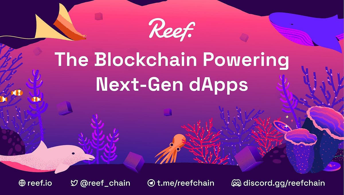 Reef — The Blockchain Powering Next-Gen dApps. | by Reef | Reef | Medium