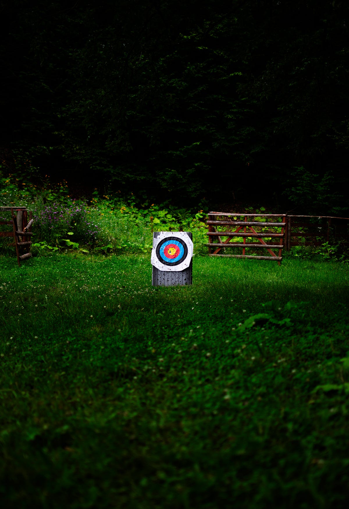 We All Play the Long Game. Only some of us remember | by Ted Czukor
