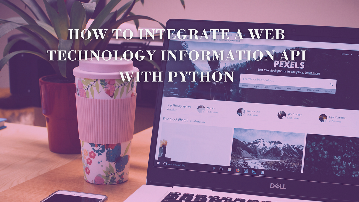 How To Integrate A Web Technology Information API With Python | by ...