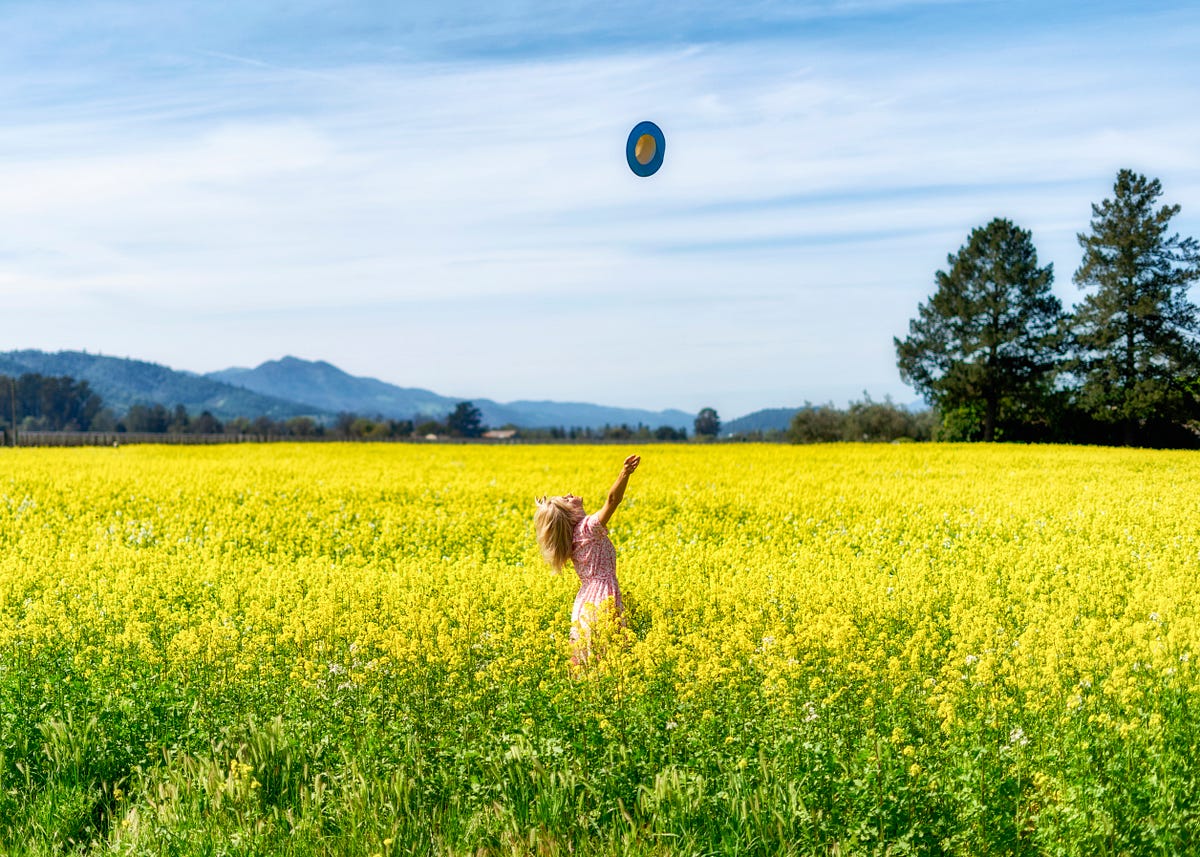 Allowing Freedom. Contemplate freedom we deserve | by Randy Shingler ...