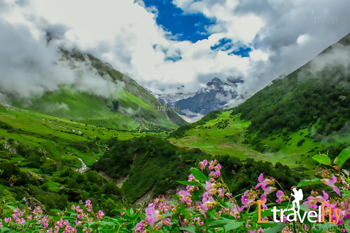 Valley of flowers Trek. About Valley of Flowers Trek by ETravelFly