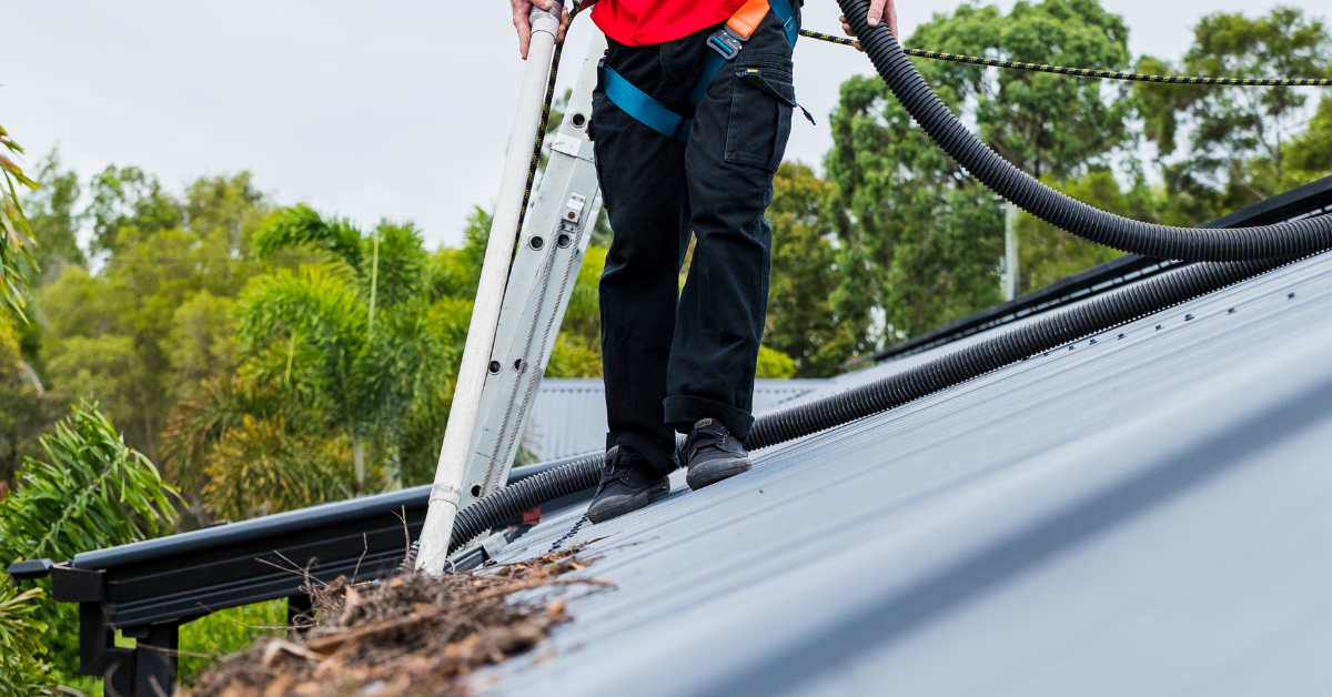 Signs Your Home Needs Professional Gutter Cleaning in Bondi