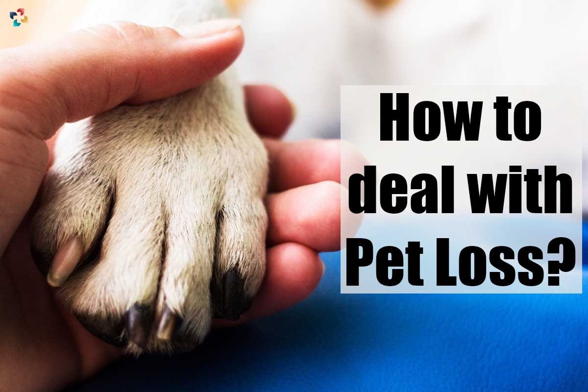 how-to-deal-with-pet-loss-when-someone-you-care-about-dies-it-s