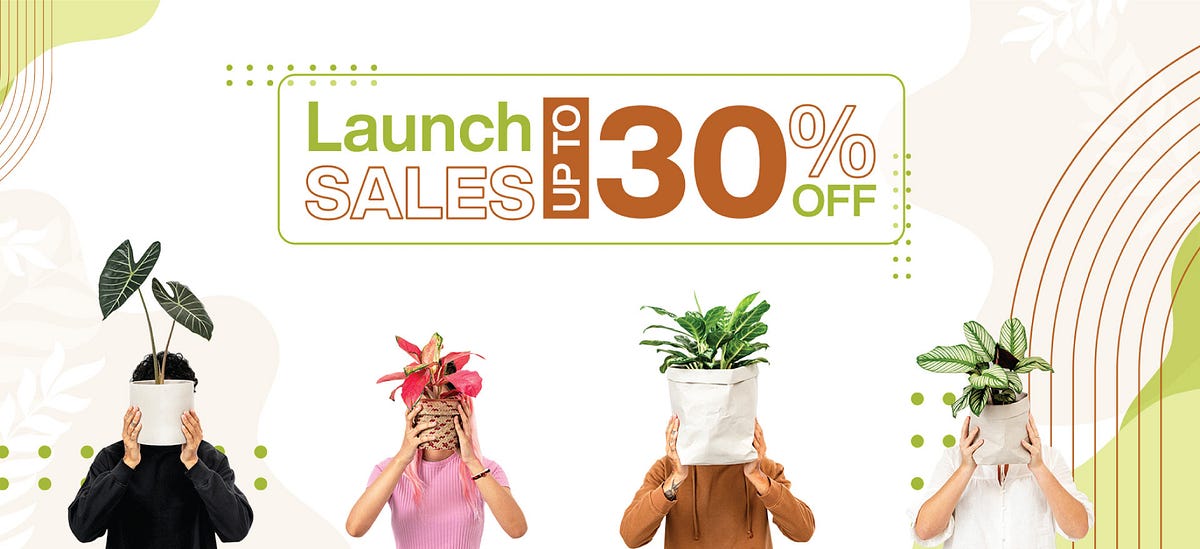 Everything You Need to Know Before Shopping for Plants Online by