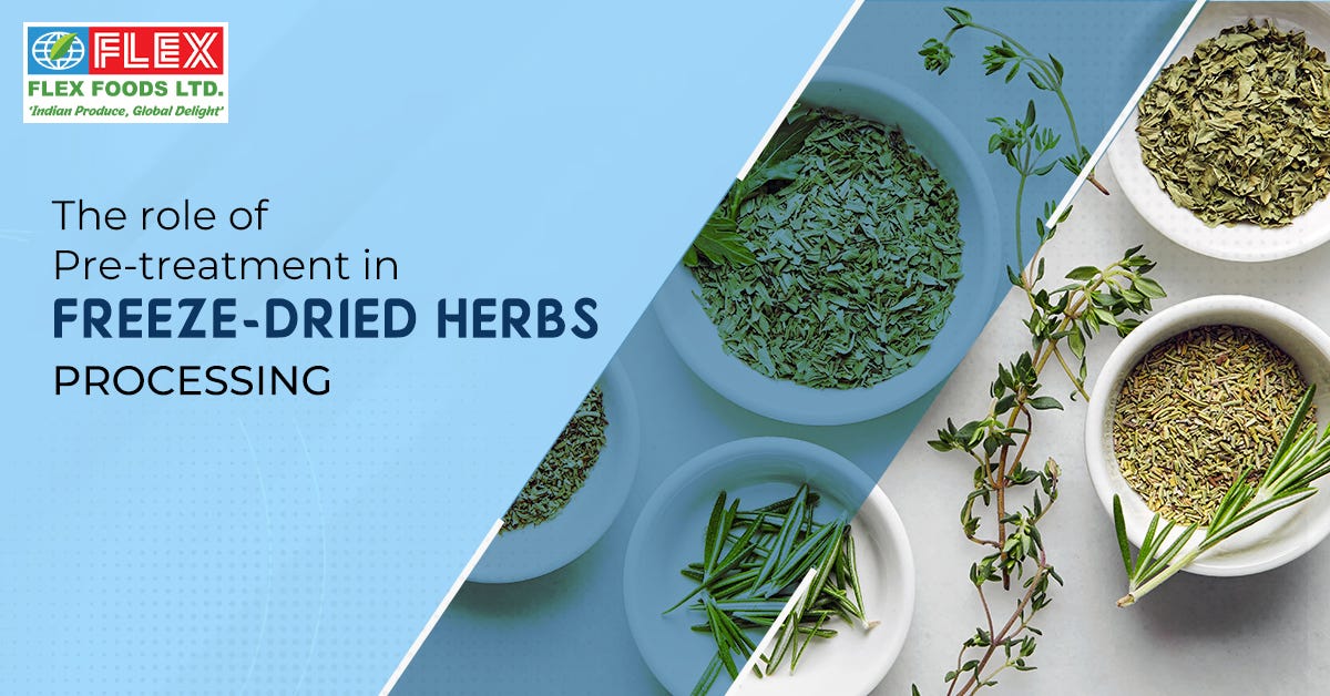 The role of pretreatment in freezedried herbs processing by