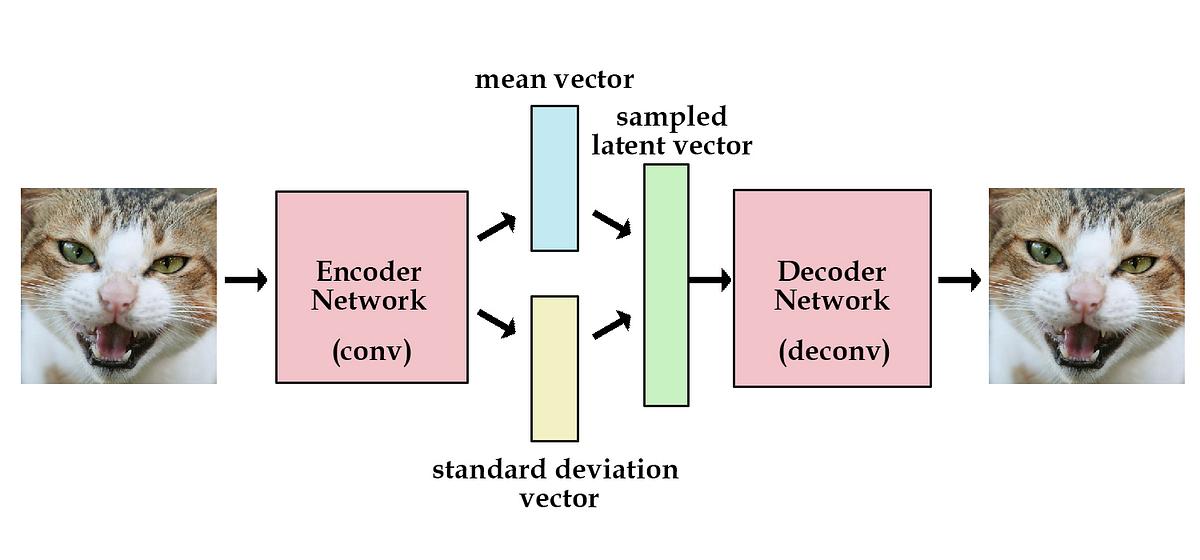 Variational Auto-encoders. Basically what an auto-encoder does is… | by ...