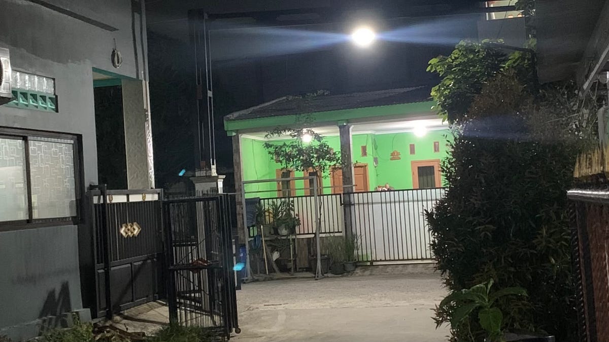 Kepompong Sunyi yang Belajar Jadi Sayap