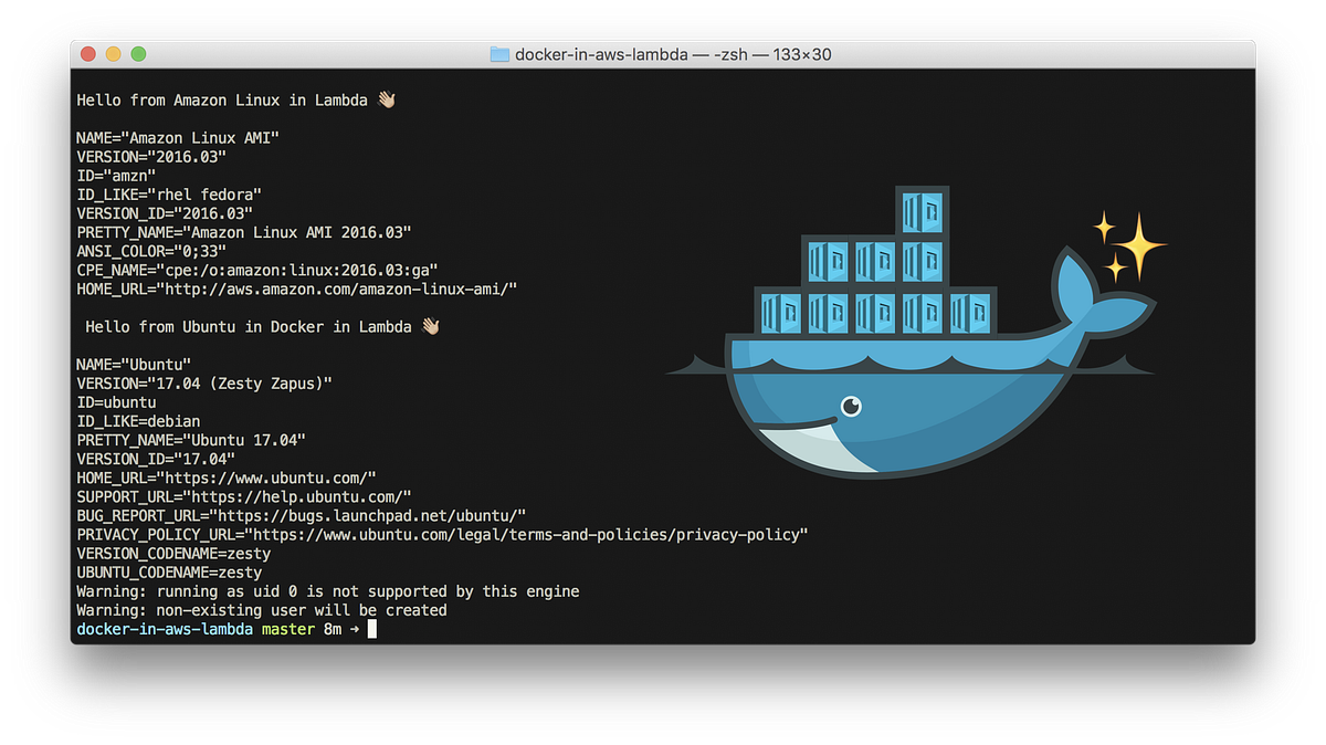 Ctsh A Tool For Running Commands On Docker Containers By That Jeff