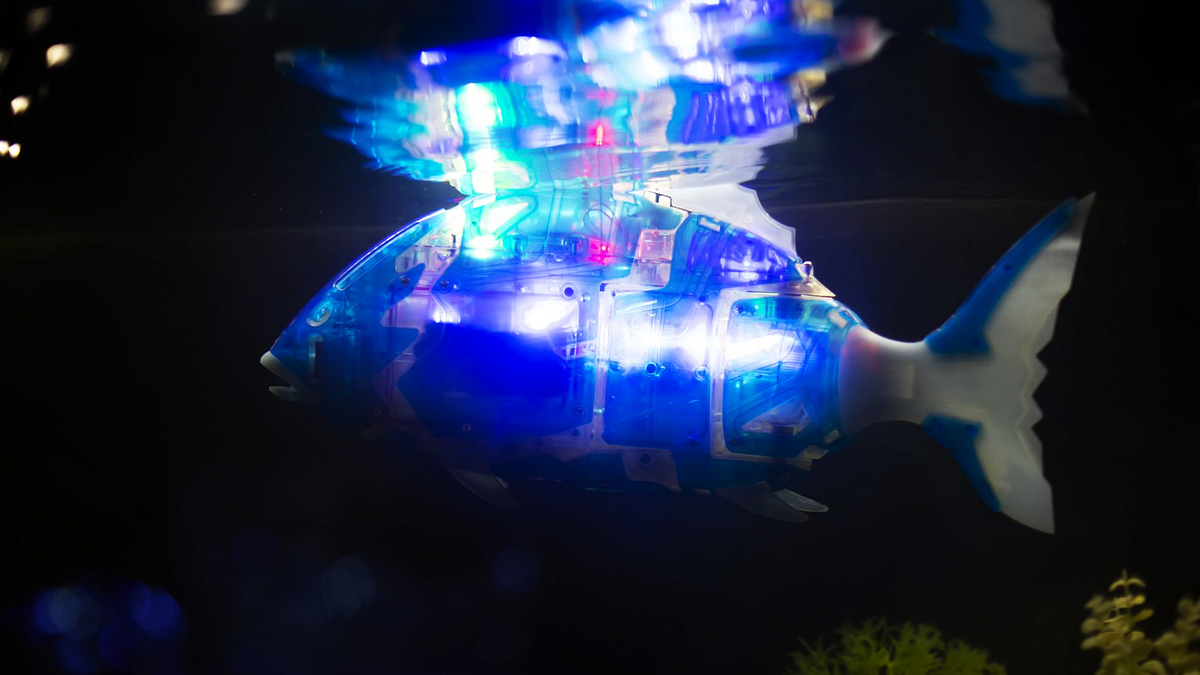 Student wins design prize for microplastic collecting robot fish | by ...