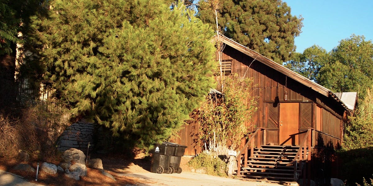 Why I Love Living in Victor Heights