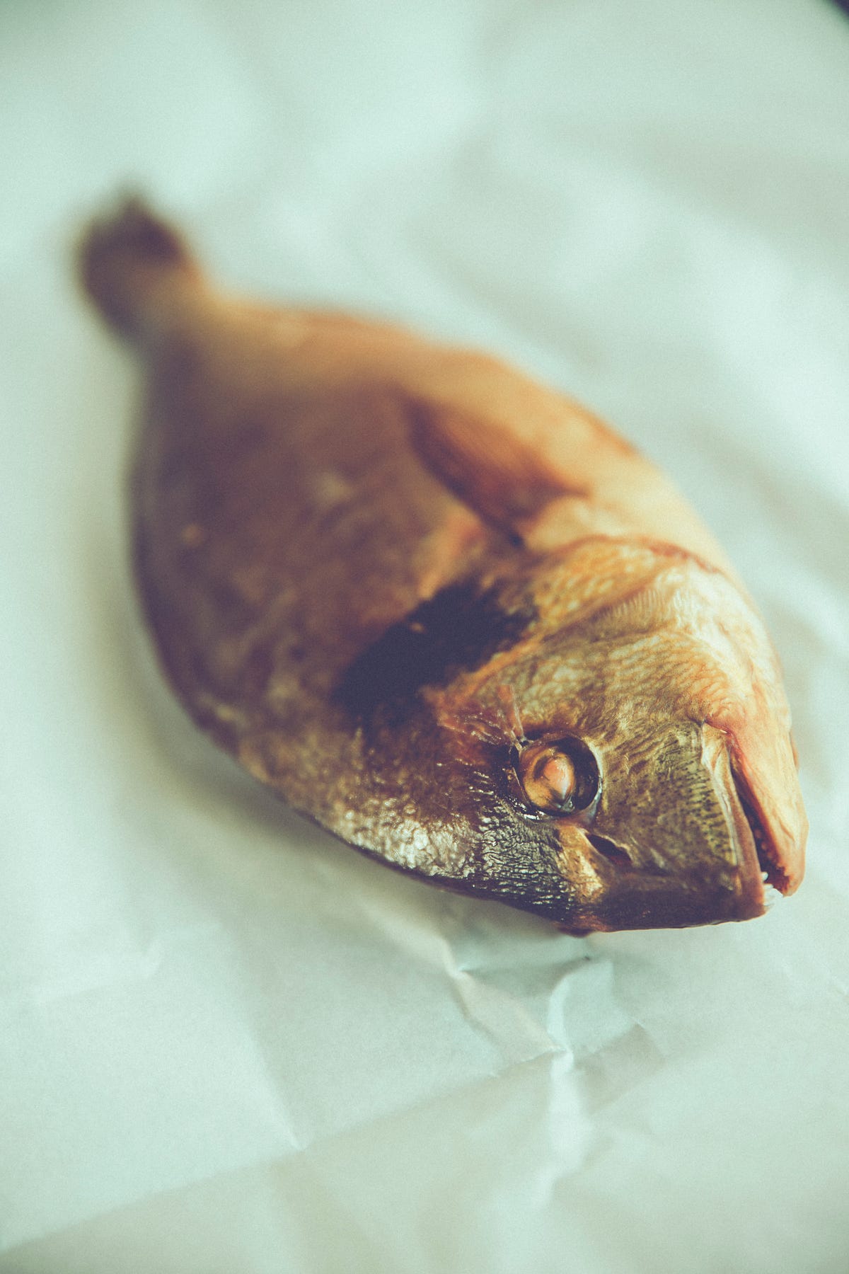 Some Tips for Fish Odor Syndrome Patients by Joy Park Medium