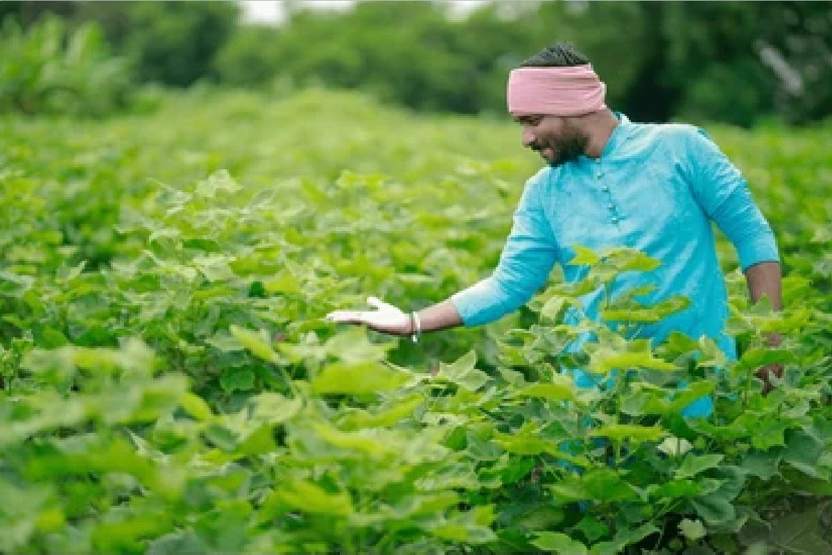 PM Kisan beneficiaries should get ready, the money for the 18th installment will come in October