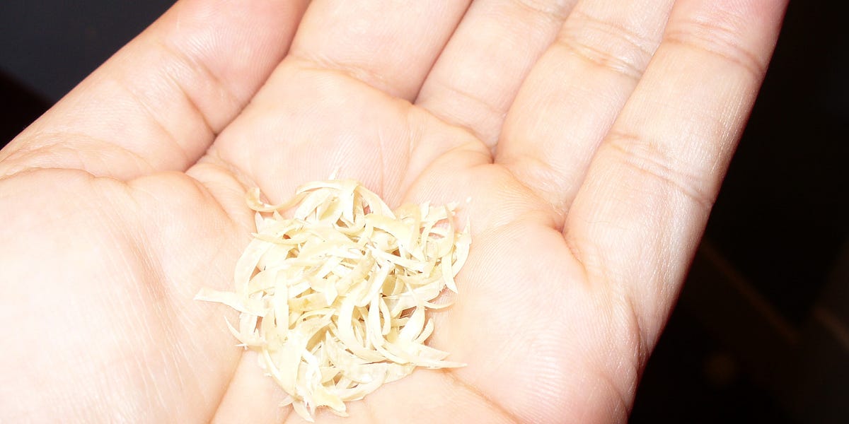 Just Stop Clipping Your Nails on the Bus — The Bold Italic — San Francisco