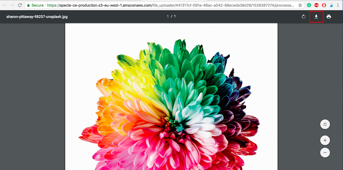 Q&A Getting The Most Out Of xColor by Corinna Miller xColor Medium