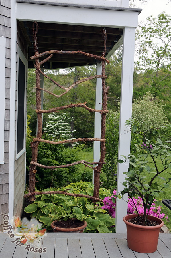 30 DIY Wood Garden Trellis Ideas. Wood trellis ideas are cheap and easy… |  by Home Gards | Medium