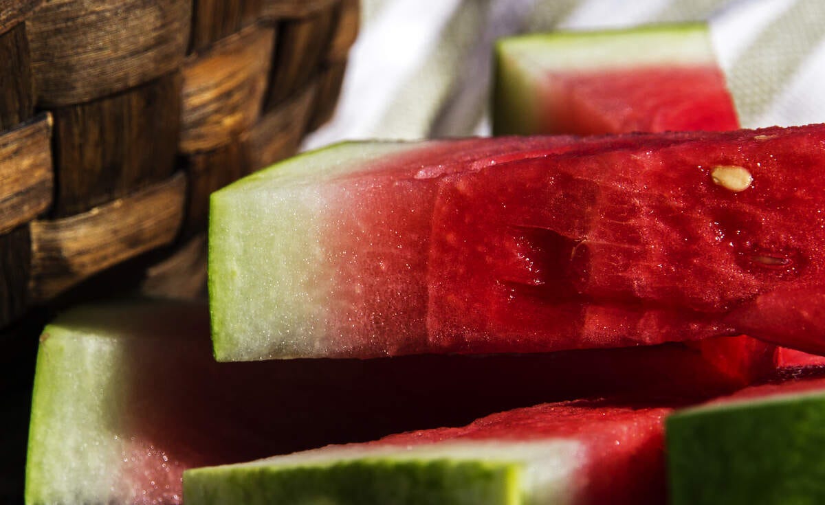 It’s National Watermelon Day August 3, 2024 by Checkiday Aug