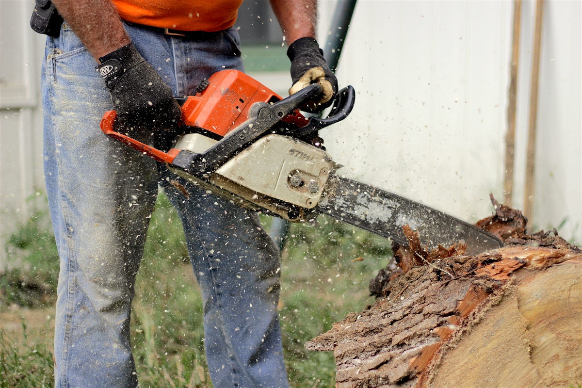 letter-to-my-landscaper-what-does-fwb-mean-when-you-actually-by