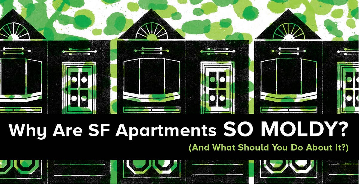 Image of: Why Are SF Apartments So Moldy? (And What Should You Do About It?)