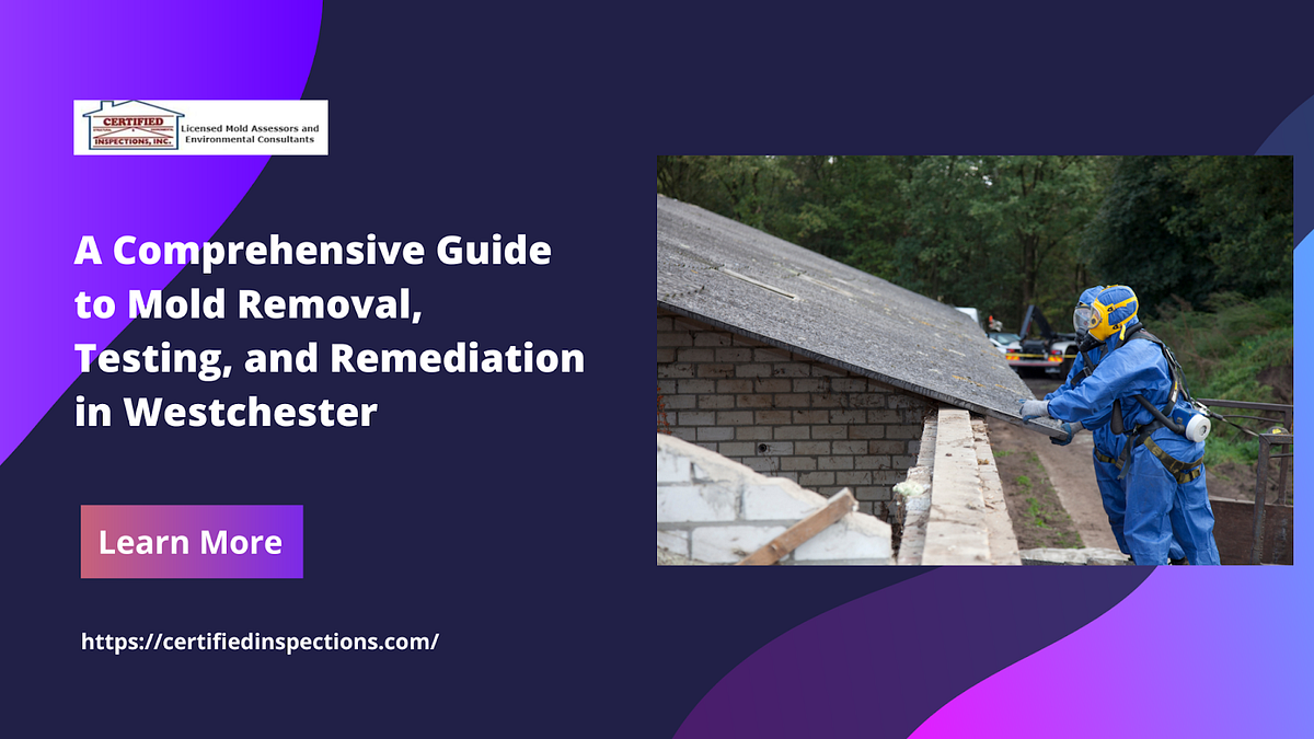 Need Mold Removal In Westchester NY? How Can Professionals Help You?