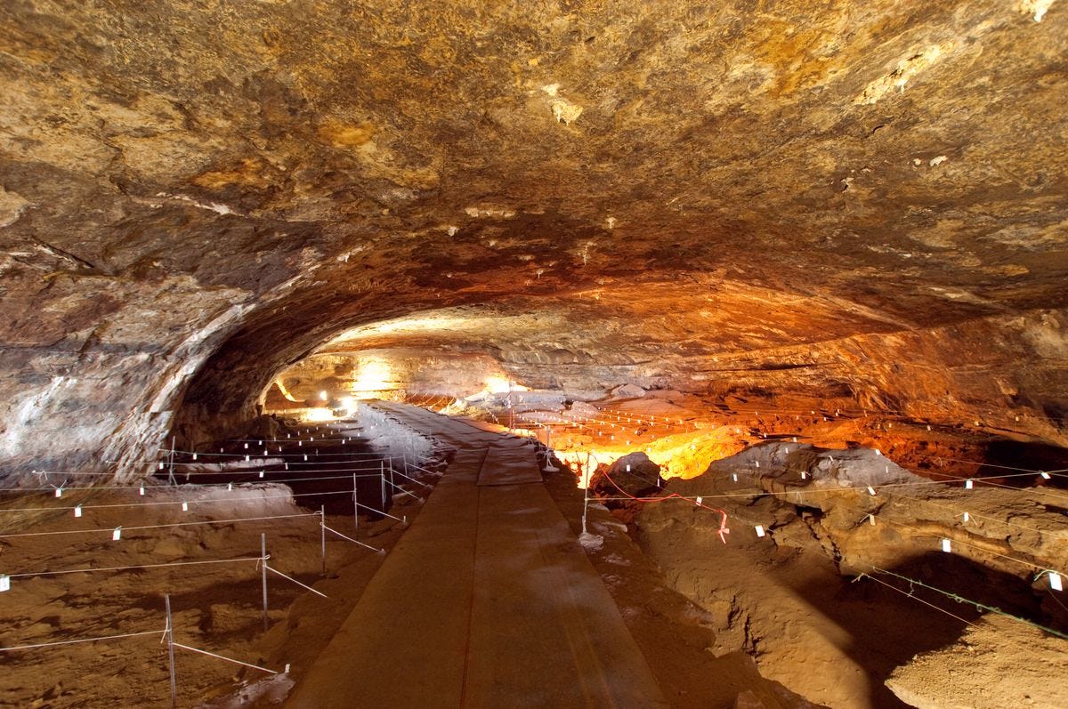 Fiery Bones: New Study Reveals One of The Oldest Evidence of Deliberate Fire Use Over 1 Million…