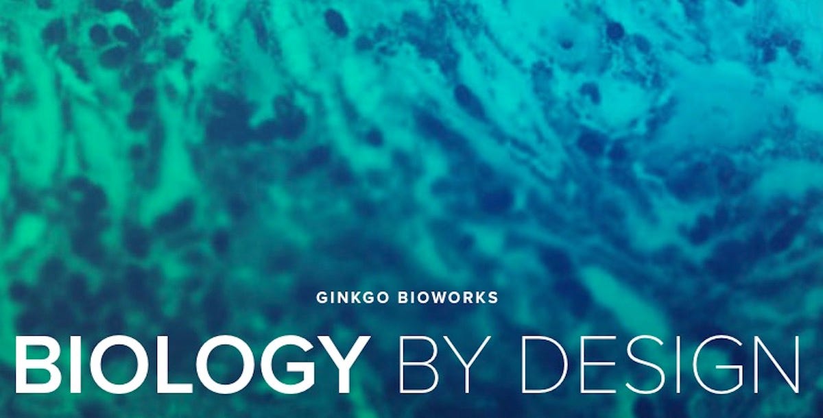 Ginkgo Bioworks: How the Organism Company Grew Up | by TSVC | TSVC | Medium