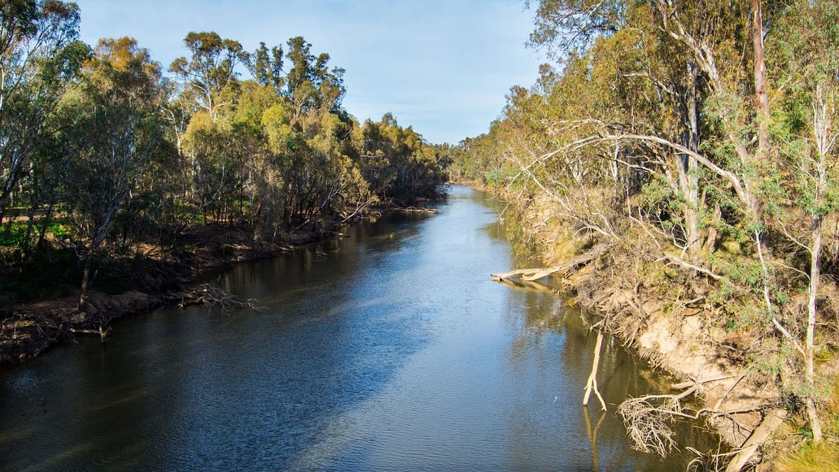 Why You Need to Experience Goulburn River Kayaking by Adventours