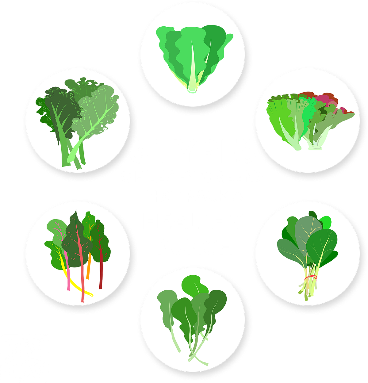 types-of-leafy-greens