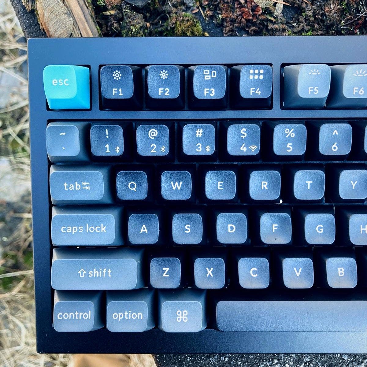 Left cluster