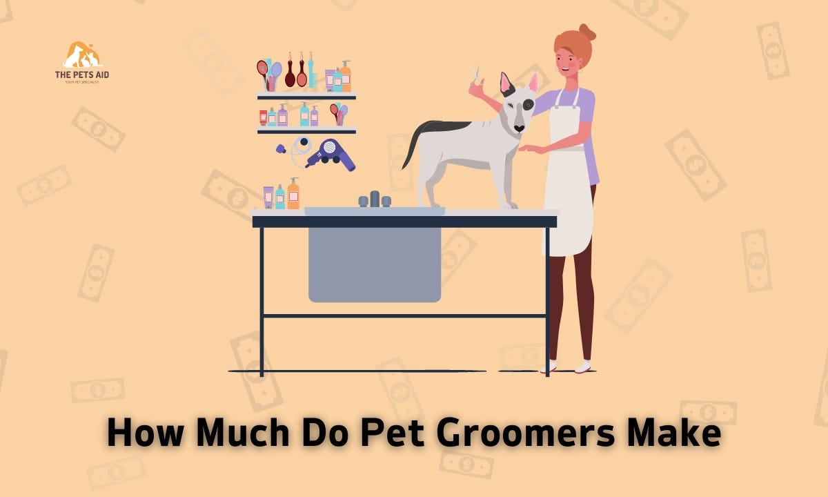How Much Do Pet Groomers Make? (Explained!) The Pets Aid Medium