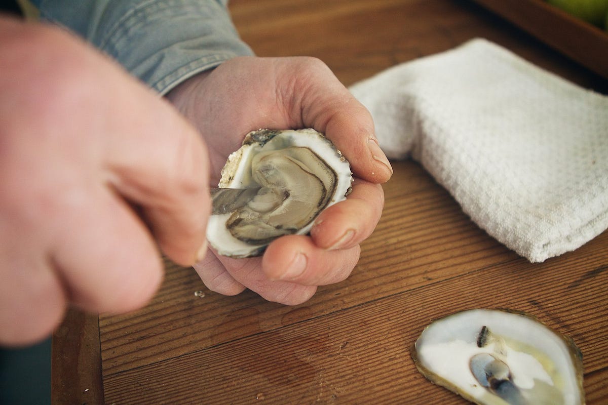 Tips To Choose The Best Oyster In New York | by Fishers Island Oyster