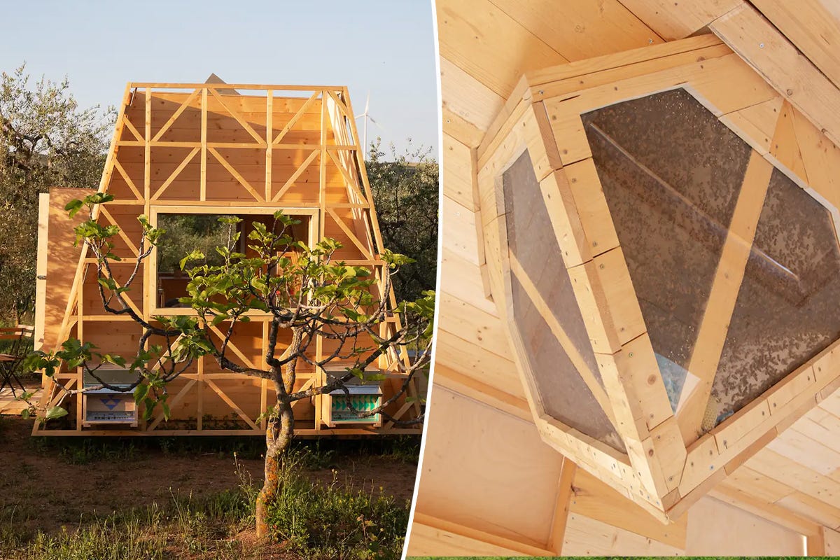 Tiny House : et si vous dormiez avec un million d’abeilles dans la maison sur roues Air Bee and Bee…