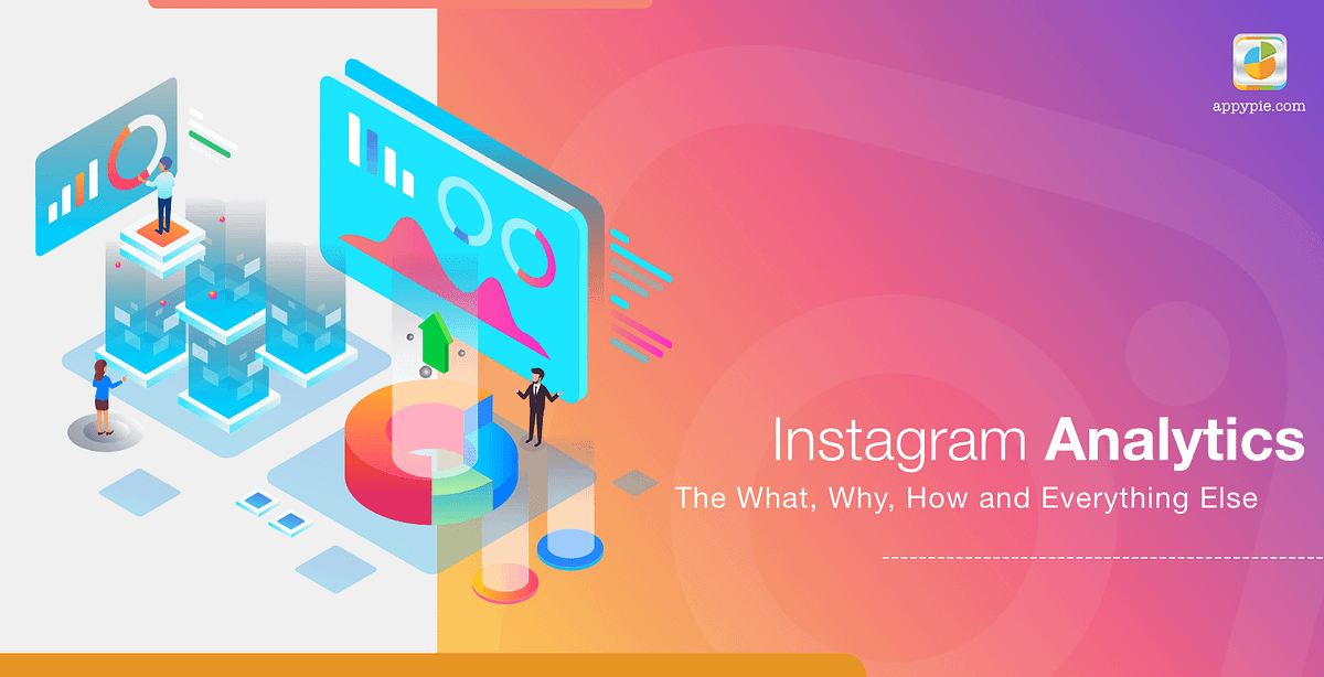 cabanhamaufer's Instagram Account Analytics & Statistics