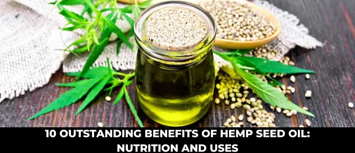 10 OUTSTANDING BENEFITS OF HEMP SEED OIL NUTRITION AND USES by