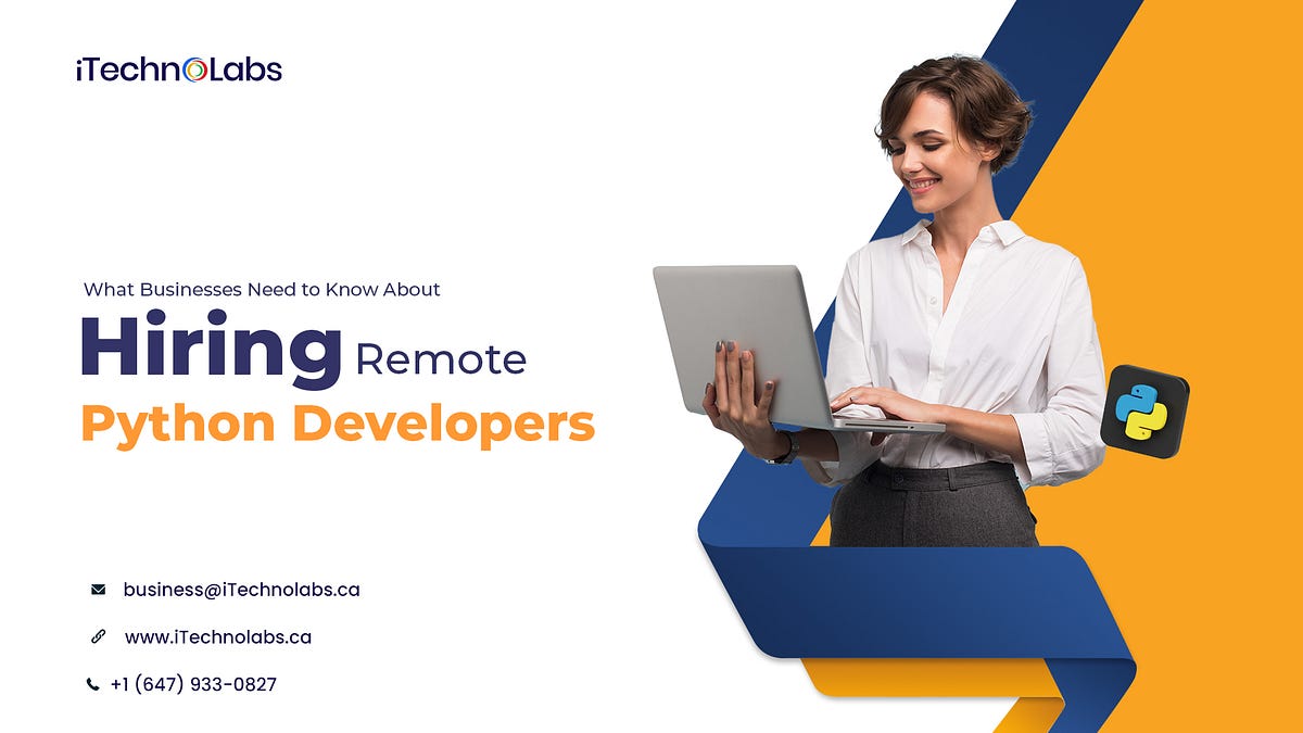 What Businesses Need to Know About Hiring Remote Python Developers | by ...