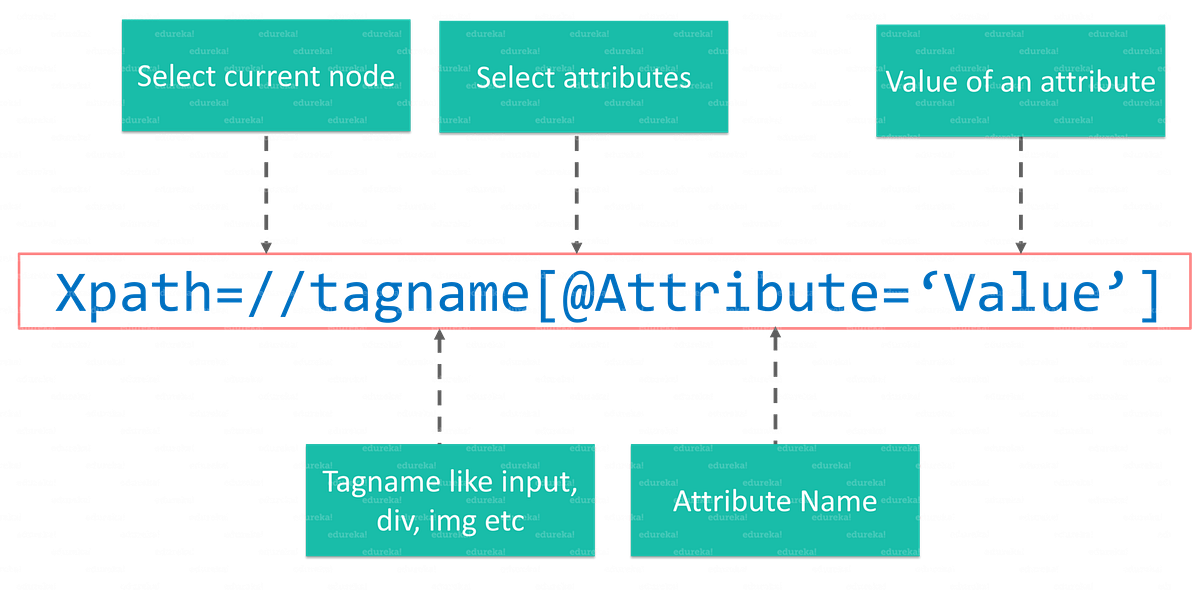 Xpath for Selenium Automation, The Only Xpath Guide you’ll need | by ...