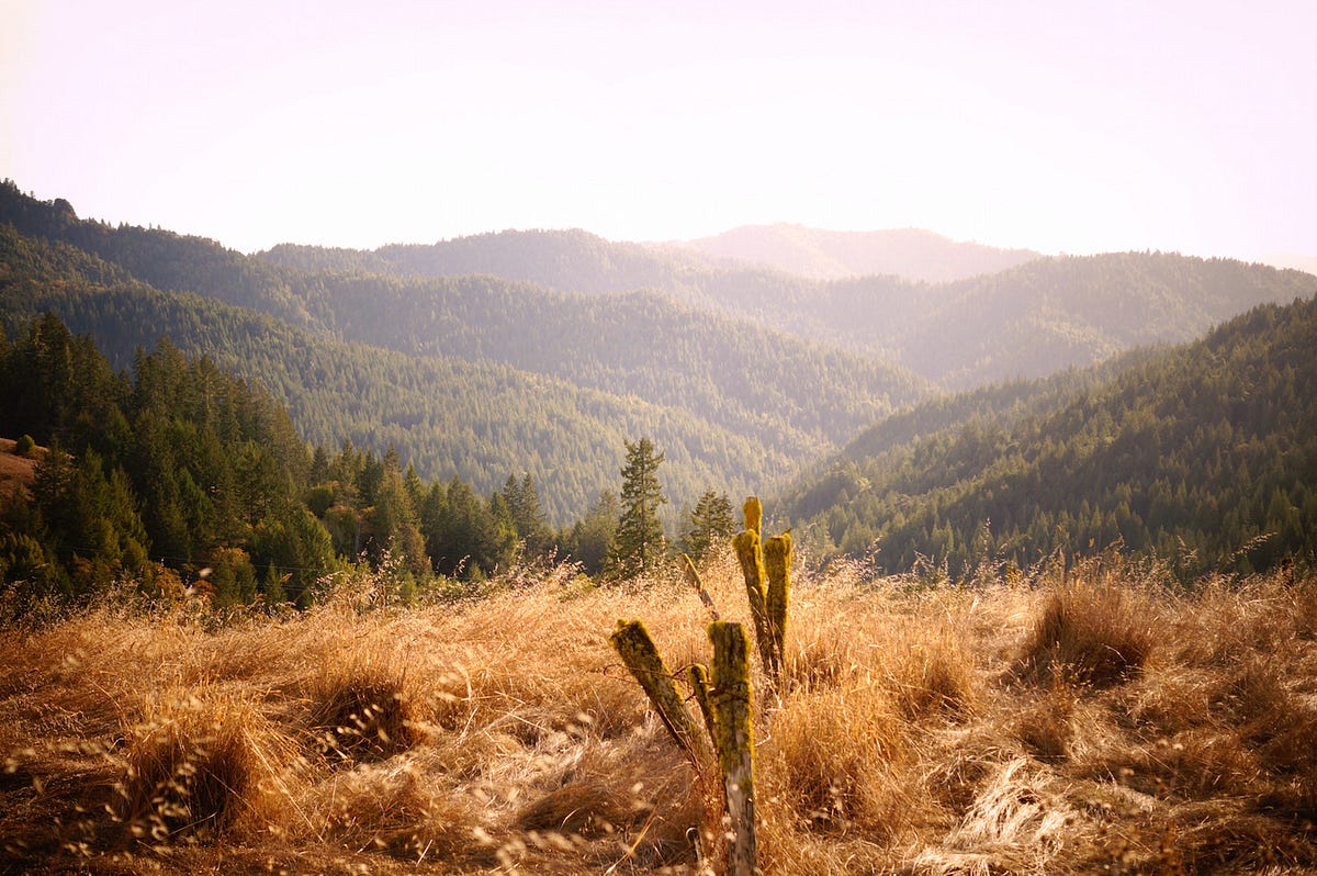 Mendocino County’s Breathtaking Beaches, Forests and Vineyards