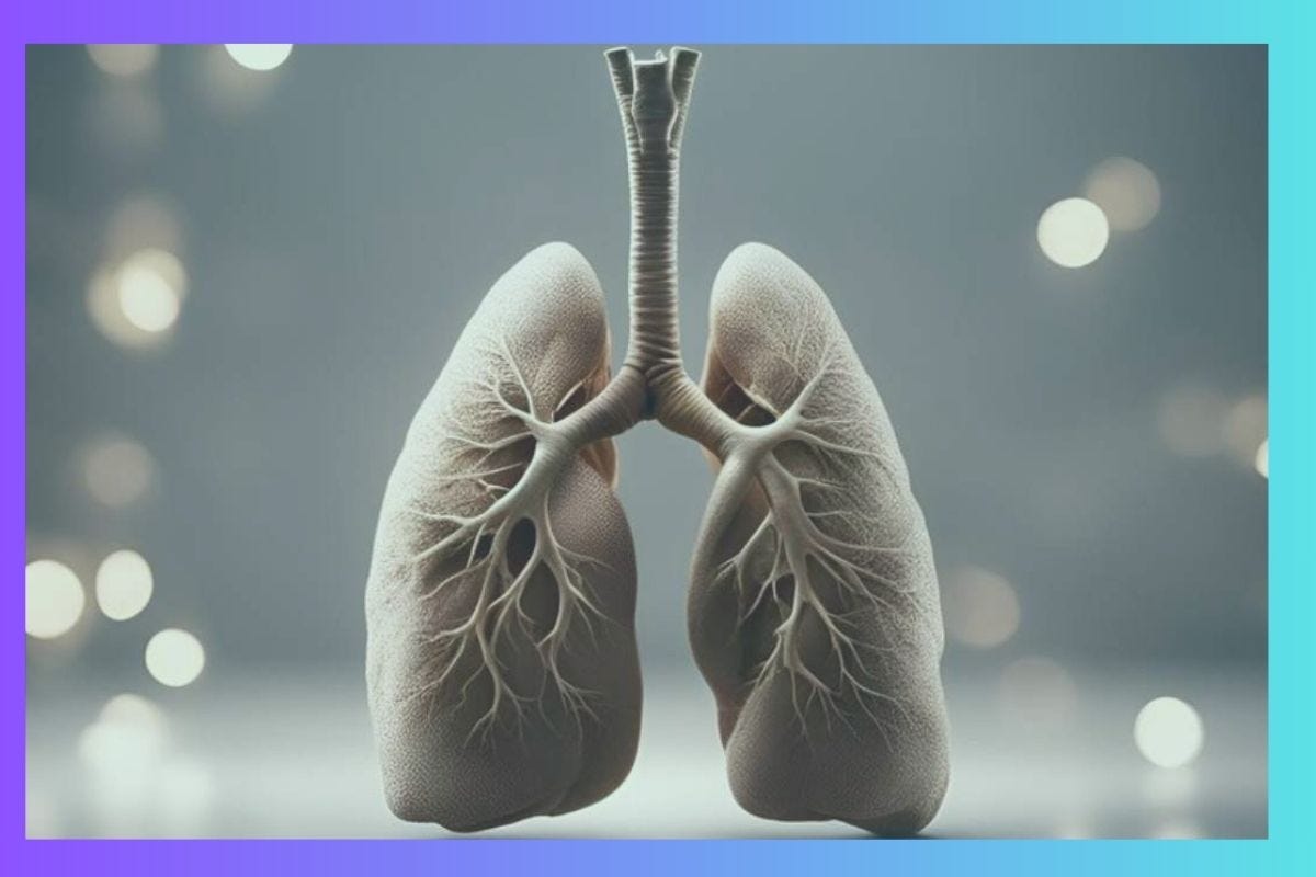 How To Take Care Of Your Lung Health This Winter 2023 2024 By   0*GPmlv17WIzxOaaVH 