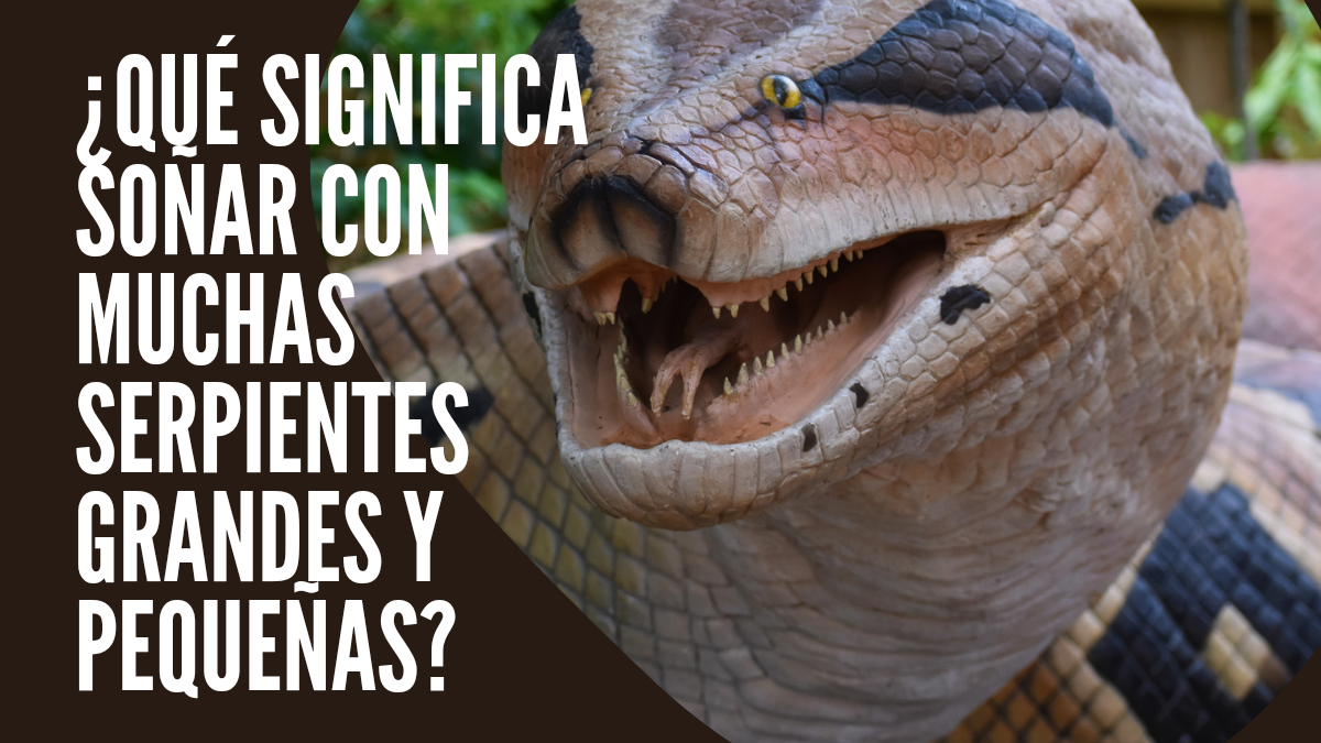 ¿Qué significa soñar con muchas serpientes grandes y pequeñas? | | by