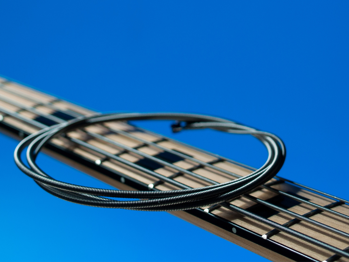 How Often Should You Change Bass Strings The Collector