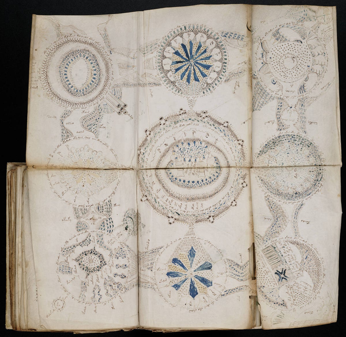 Unreadable & Bizarre: The Voynich Manuscript and Its Secrets | by
