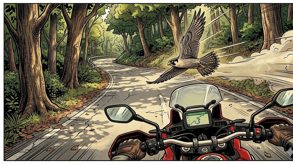 The Imaginary Line: Riding Beyond the Border