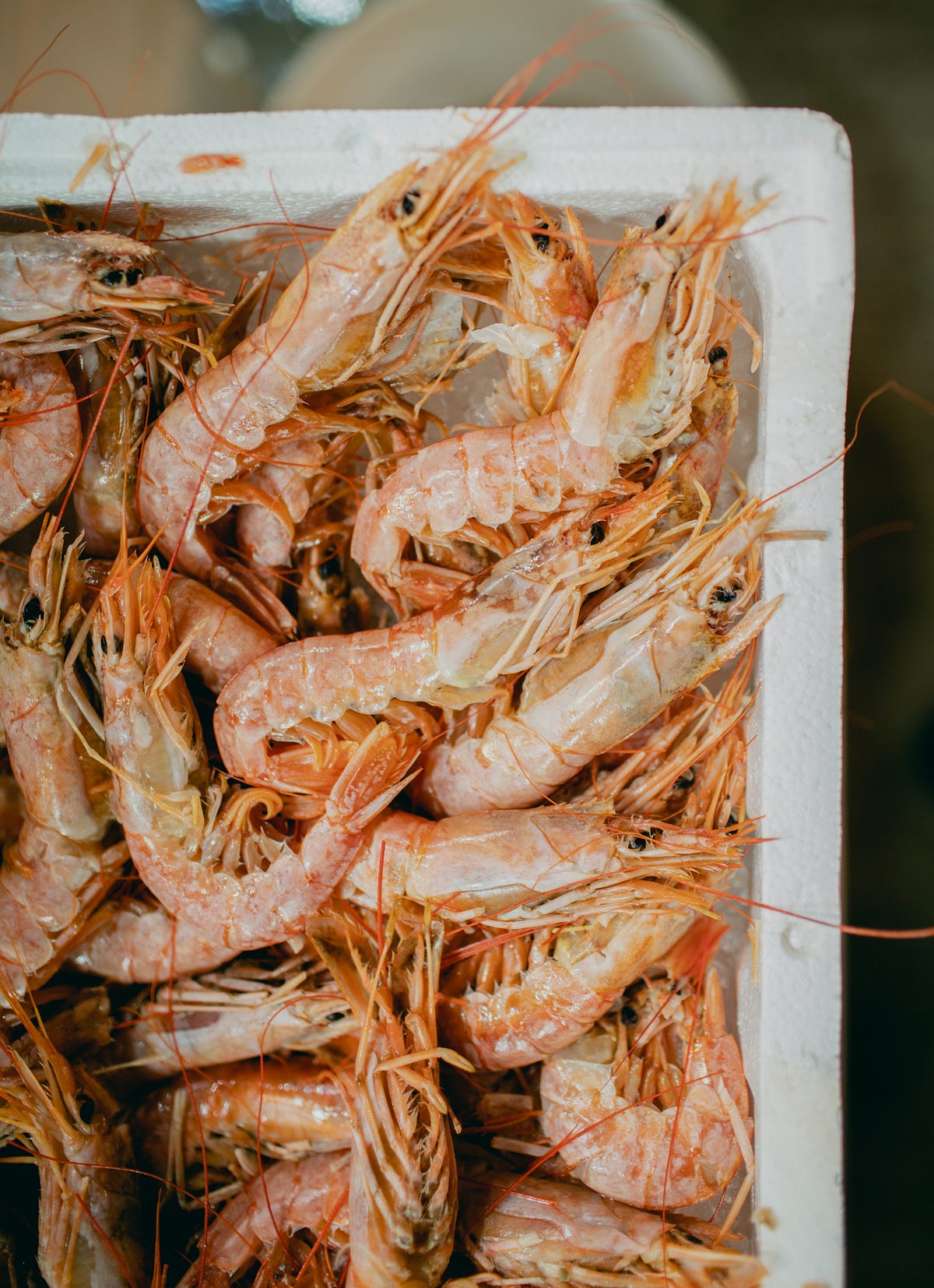 The Memphis Rajun Cajun Crawfish Festival was a Hidden Gem! by