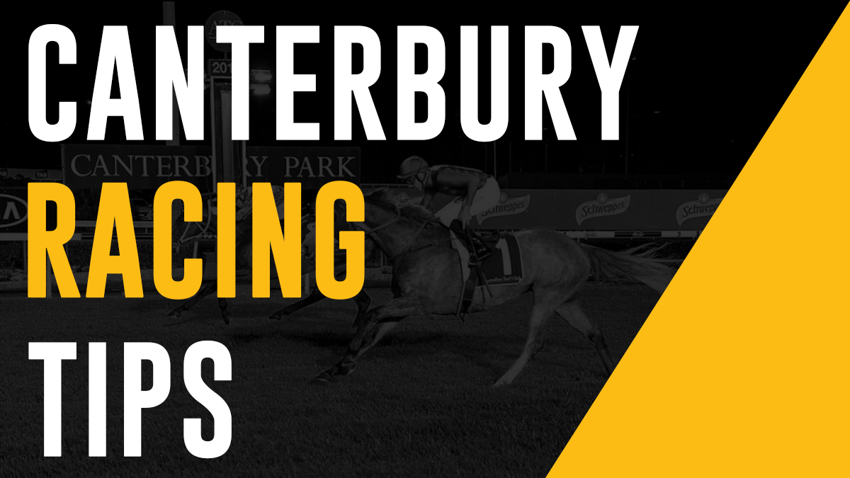 Canterbury Tip Closing at Melanie Cruise blog