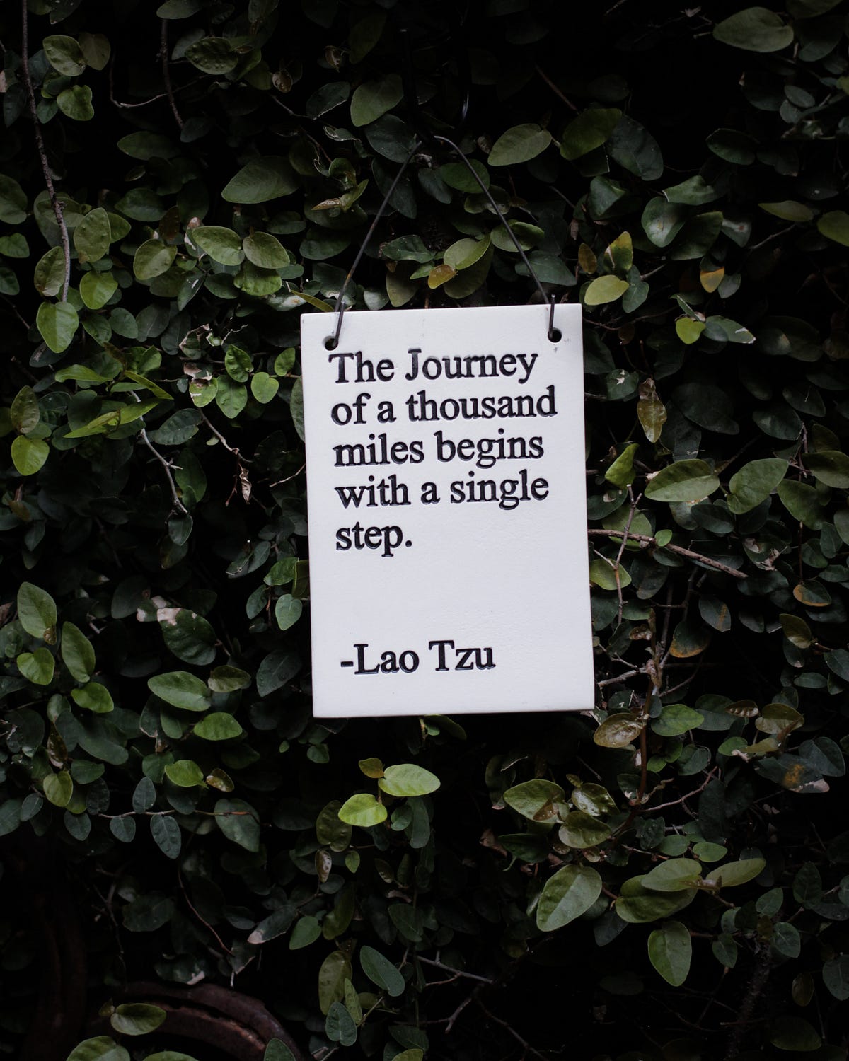 The Path to Greatness: A Comprehensive Look at “The Talent Code”