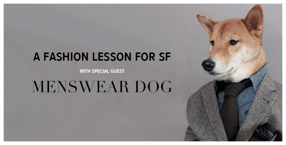 A Fashion Lesson for SF With Special Guest Menswear Dog